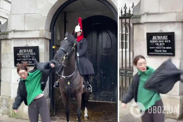 У Лондоні кінь королівської гвардії вкусив і зірвав пальто туристки, коли вона позувала для фотографії на тлі символічної таблички
