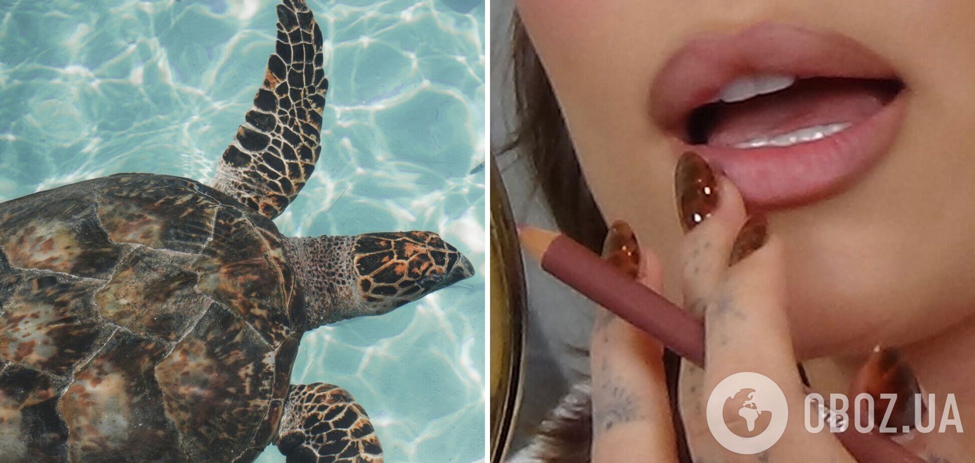 Черепаховые ногти снова возвращаются в моду: 5 дизайнов маникюра, которые понравятся всем