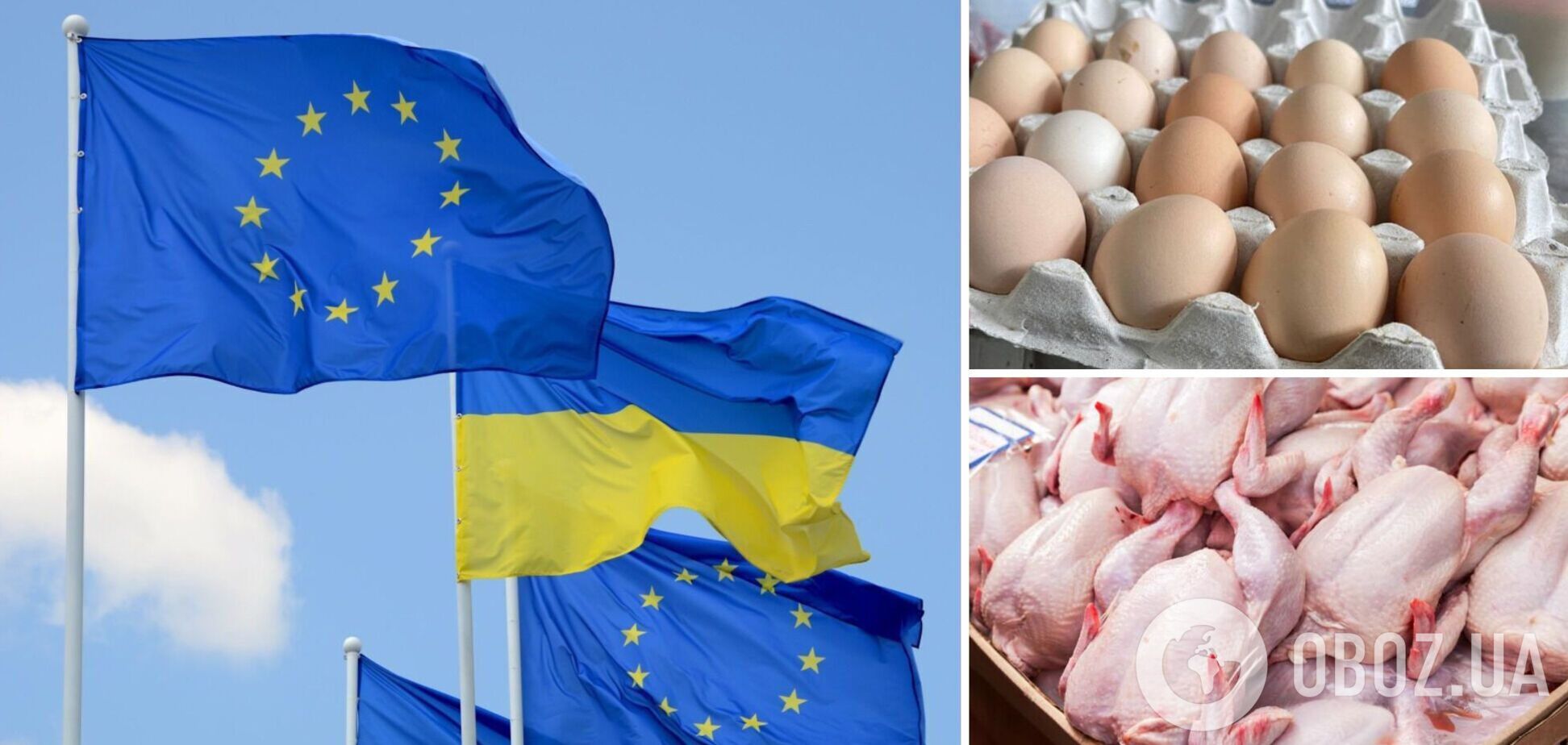 В ЕС могут запретить часть агропродукции из Украины
