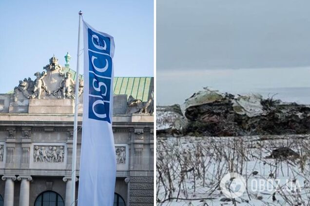 'Россия должна прекратить войну против Украины': в ОБСЕ прокомментировали сбивание Ил-76