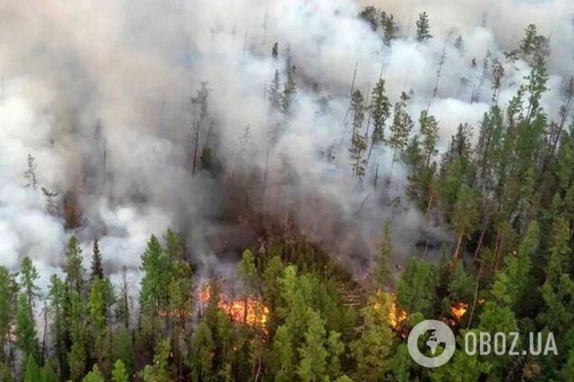 В Колумбии бушуют лесные пожары: в стране объявили чрезвычайное положение. Фото и видео