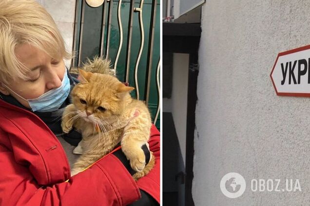 В Украине разрешили брать домашних животных в укрытия: старая норма отменена