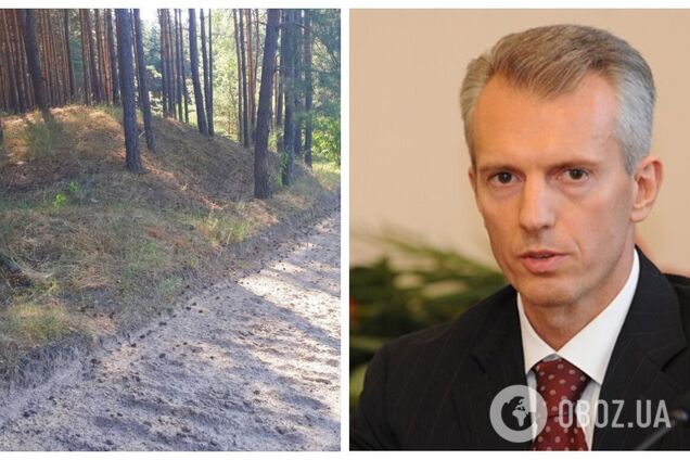 У экс-чиновника времен Януковича Хорошковского через суд забрали 65 га леса в Черкасской области