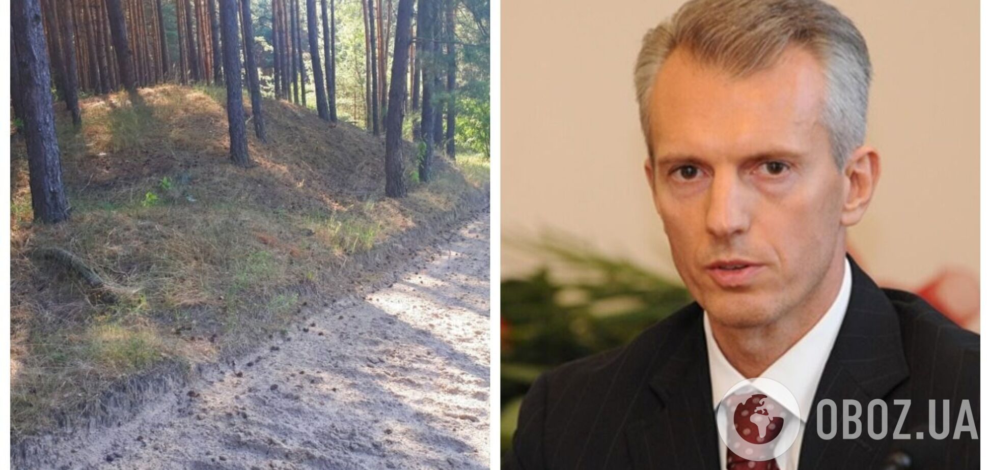 У ексчиновника часів Януковича Хорошковського через суд забрали 65 га лісу на Черкащині