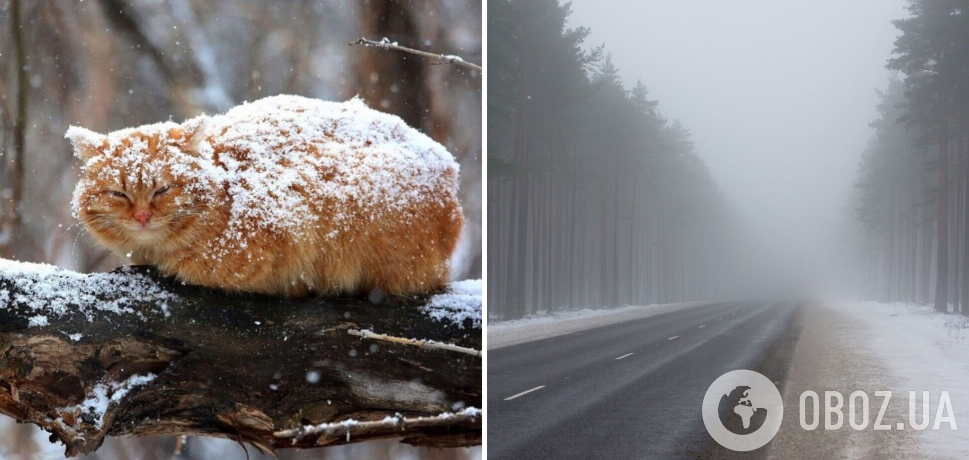 Похолодання до 7-ми градусів морозу і туман: синоптики дали прогноз погоди на понеділок, 29 січня