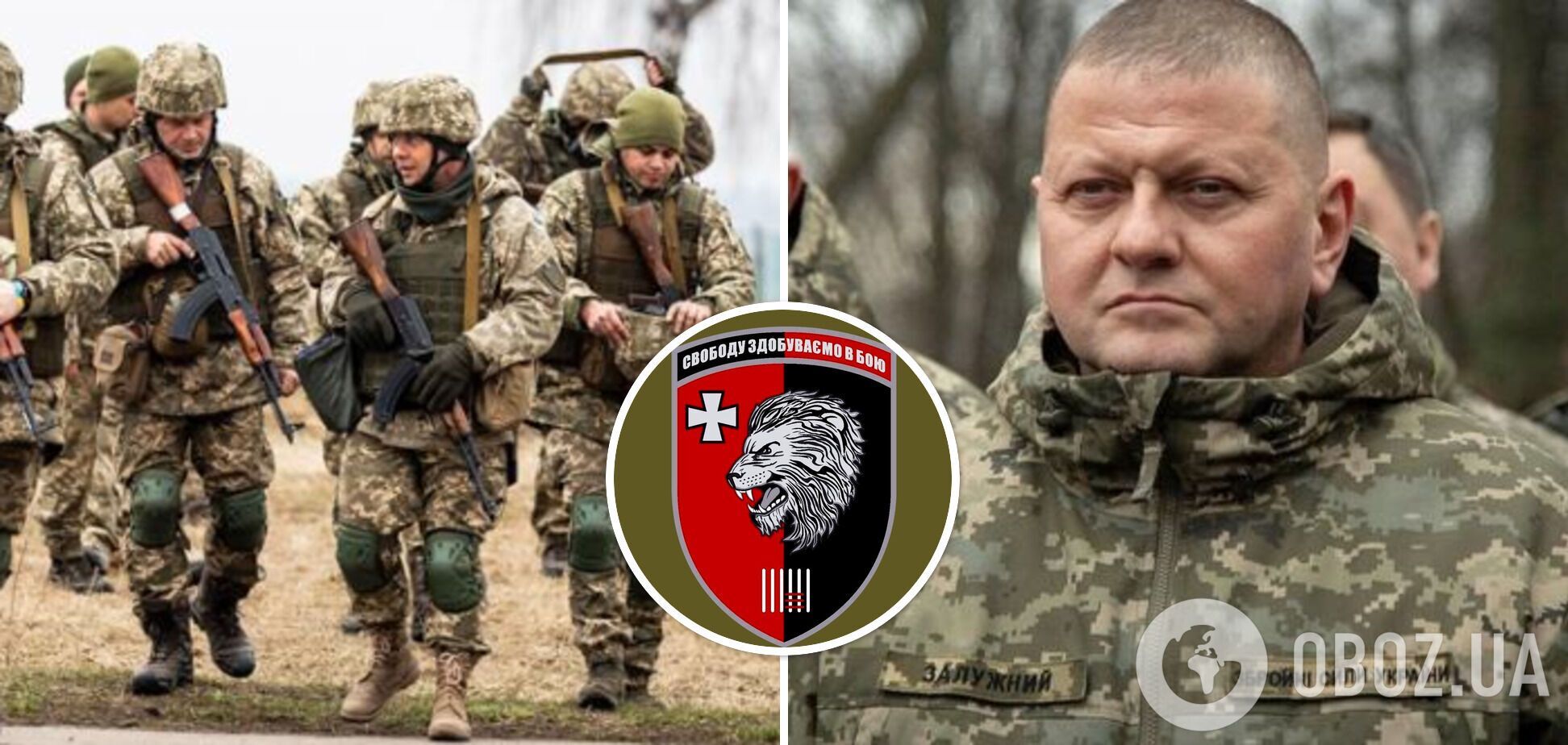 'Ми повністю довіряємо йому': військові звернулися до Залужного із закликом лишити Скибу на посаді командира 63-ї бригади