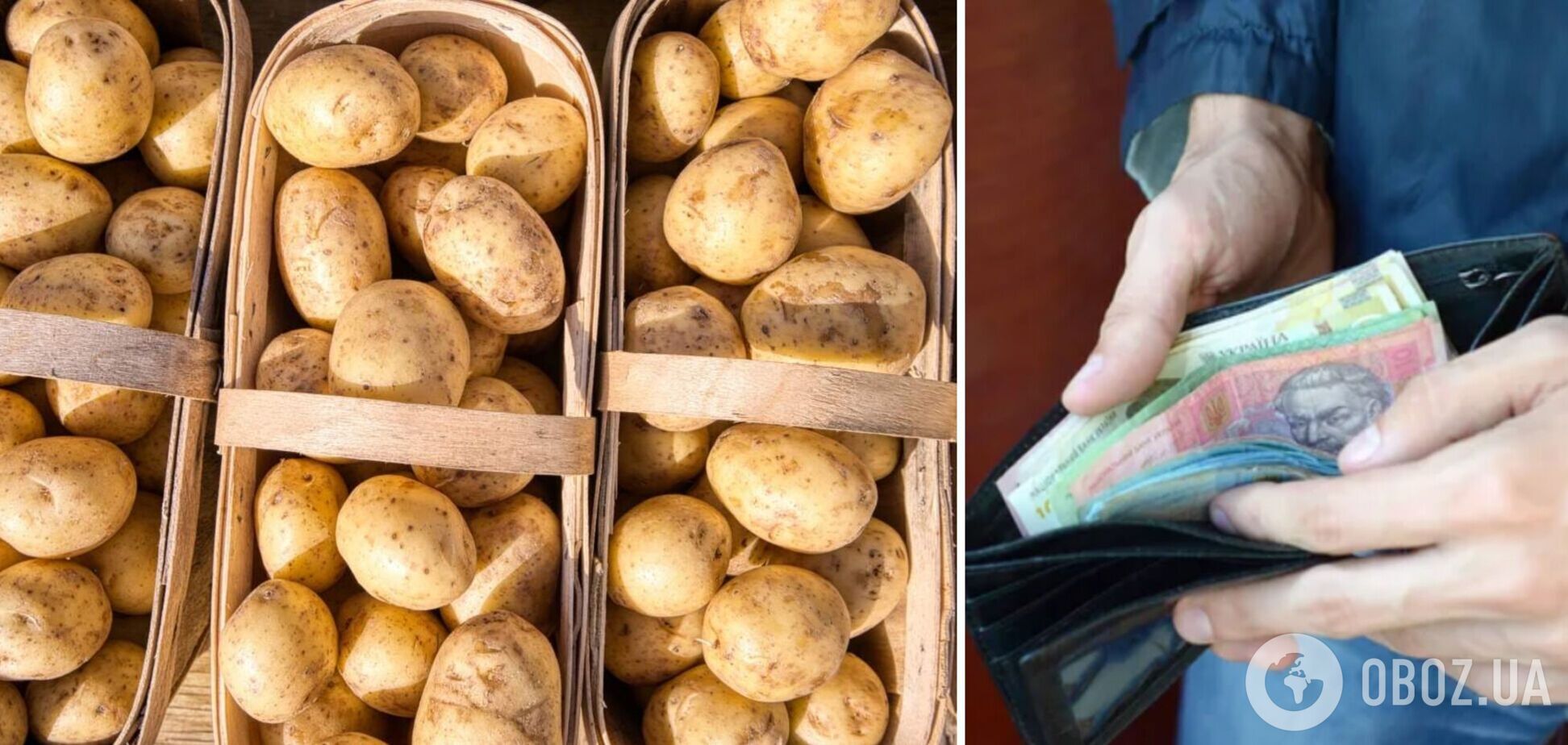 В Україні суттєво зросли ціни на картоплю
