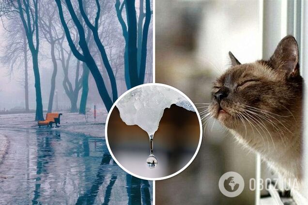 Туман и до 6 градусов тепла: синоптики дали прогноз погоды на среду, 31 января