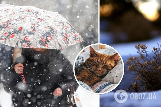 Прогноз погоды