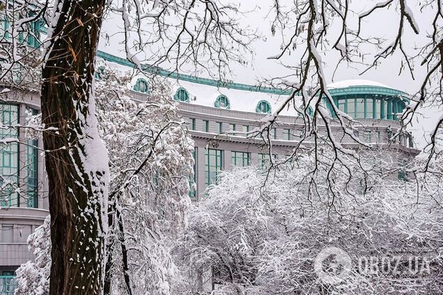 Небольшое похолодание, но почти без осадков: синоптики дали прогноз погоды на четверг, 1 февраля.