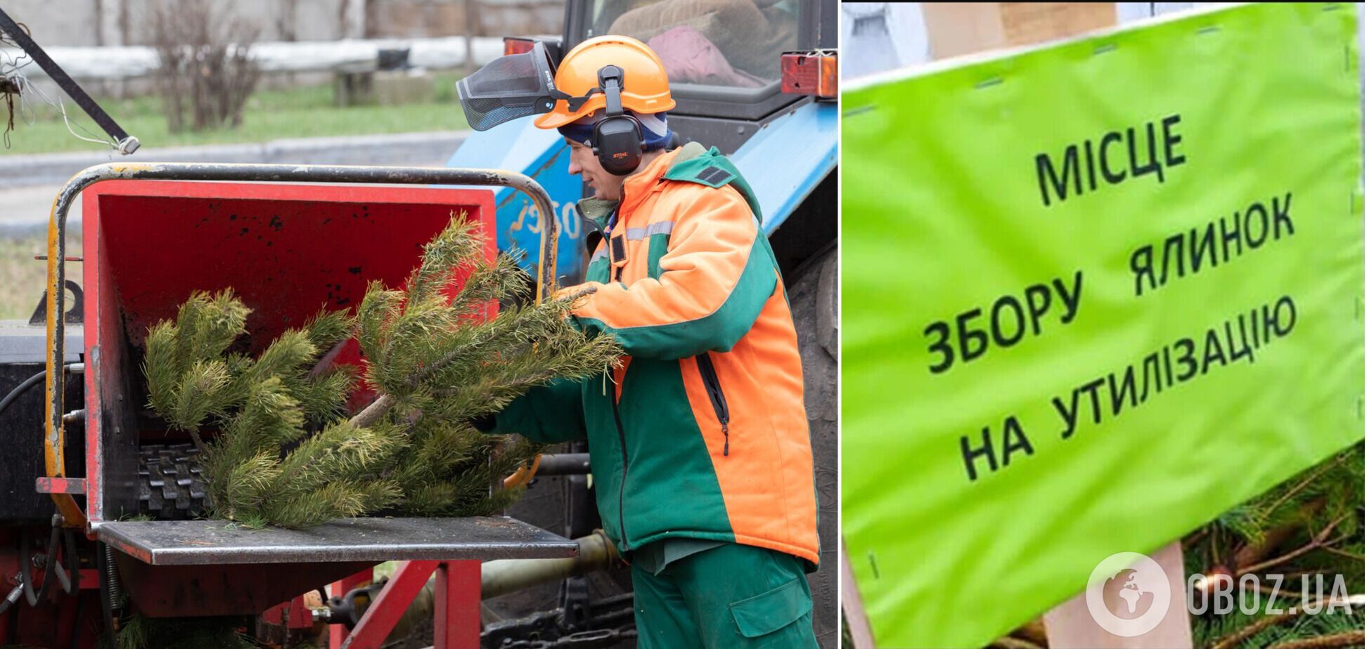 У Києві почали приймати на утилізацію хвойні дерева