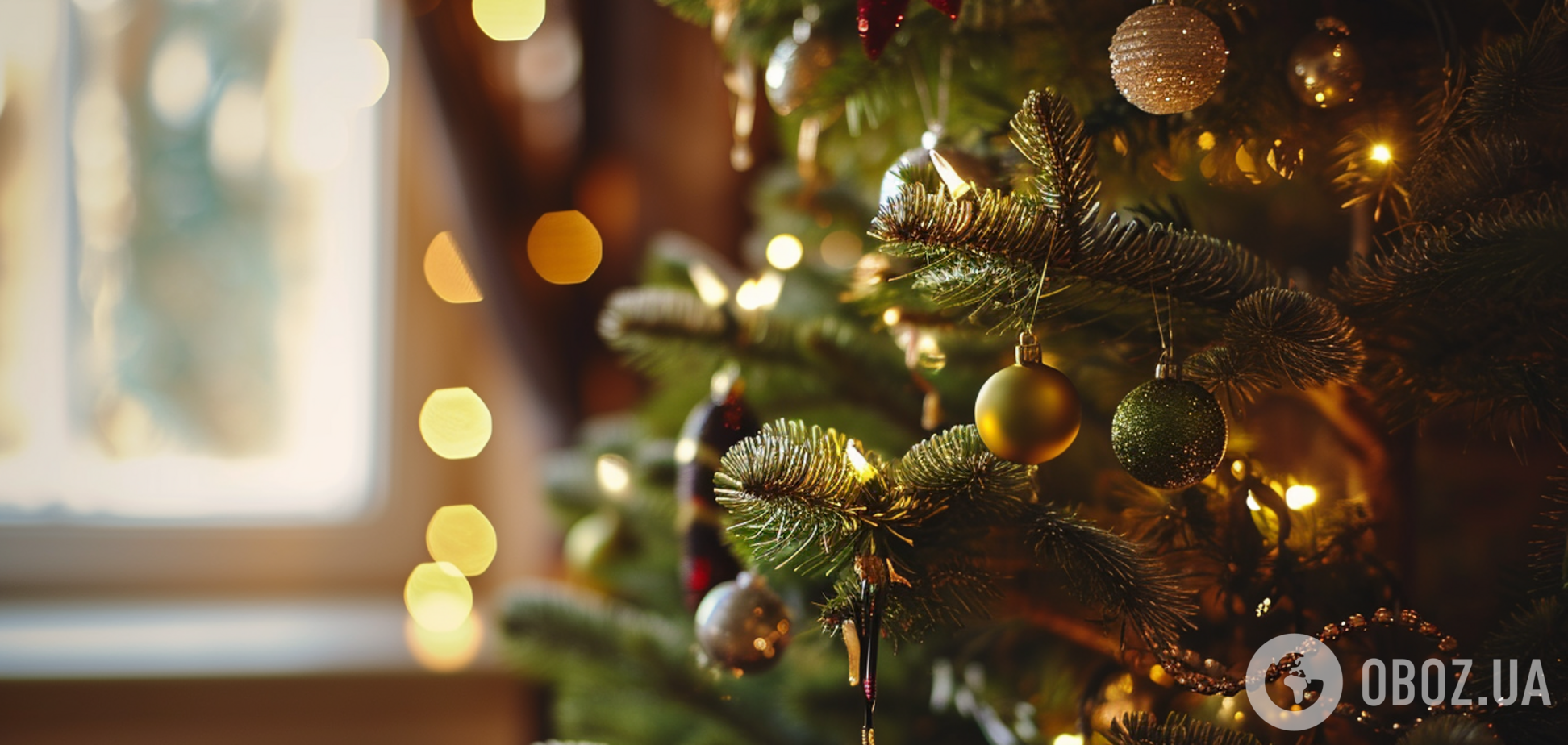 Что сделать с новогодней елкой после праздников: выбрасывать на помойку не обязательно