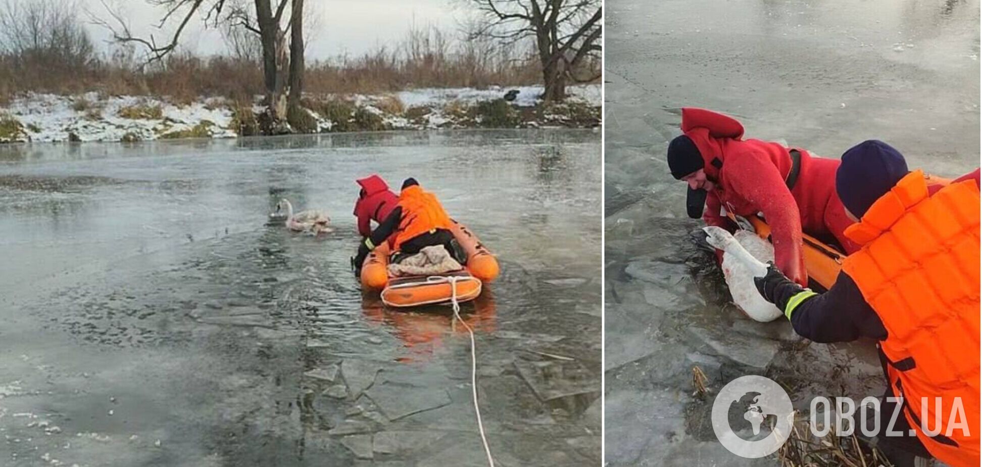 Спасатели освободили птицу из ледяной 'ловушки'