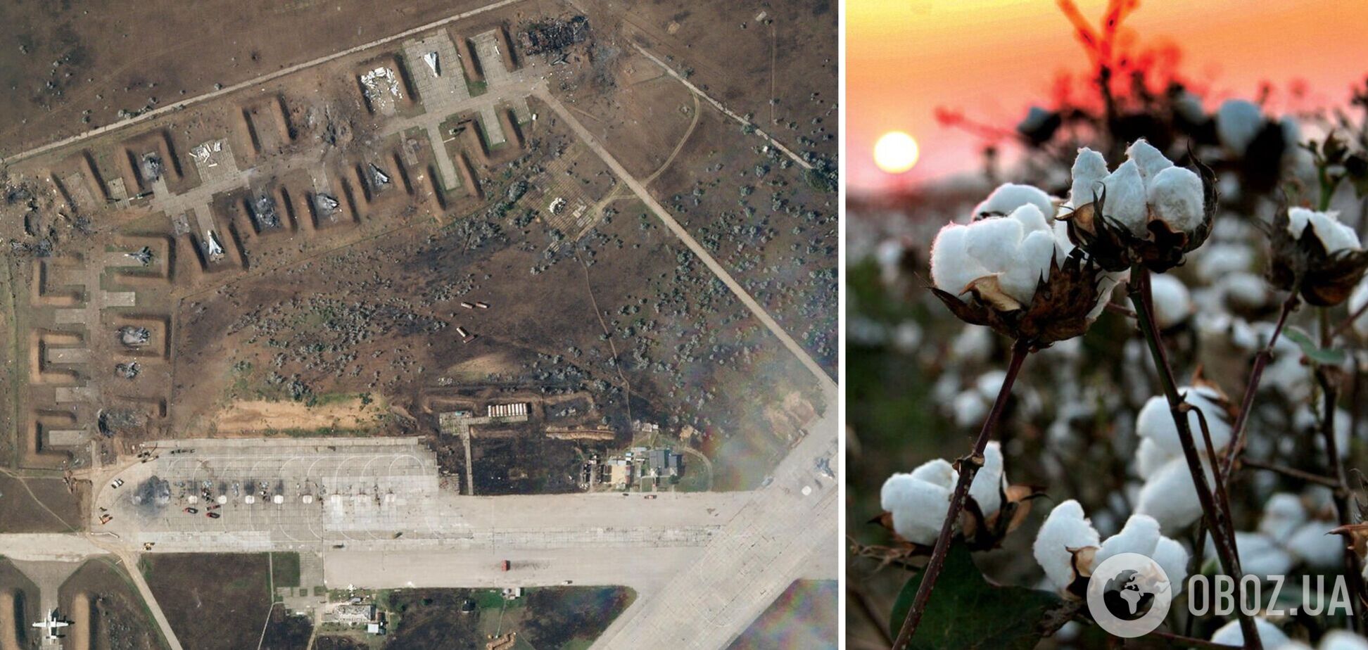 Бавовна в Саках