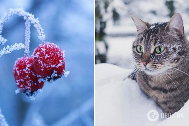 'Расслабляться не стоит': синоптик рассказала, какая погода ждет украинцев в январе