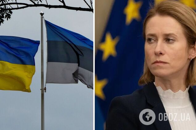 'Это то, что нужно для победы в войне': Эстония будет вкладывать в оборону Украины четверть процента ВВП в течение 4 лет и призвала к таким действиям других