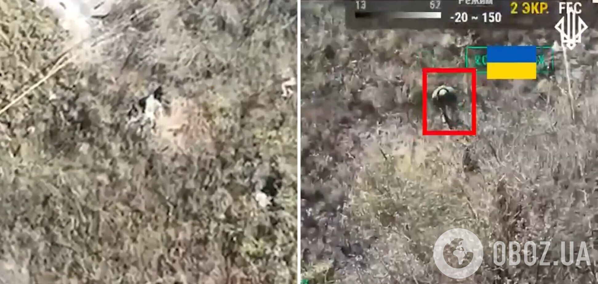 Хотіли зайняти посадку: нацгвардійці захопили в полон групу окупантів на Харківщині. Відео