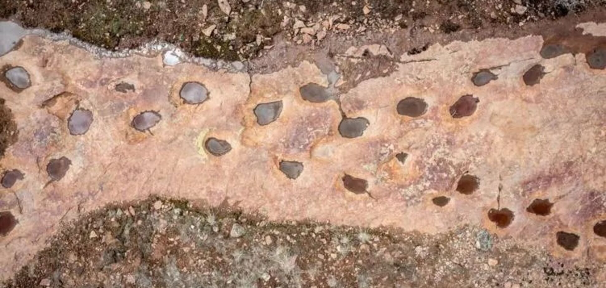 Відео з дрона показало найдовші у світі сліди динозаврів, які жили 150 мільйонів років тому