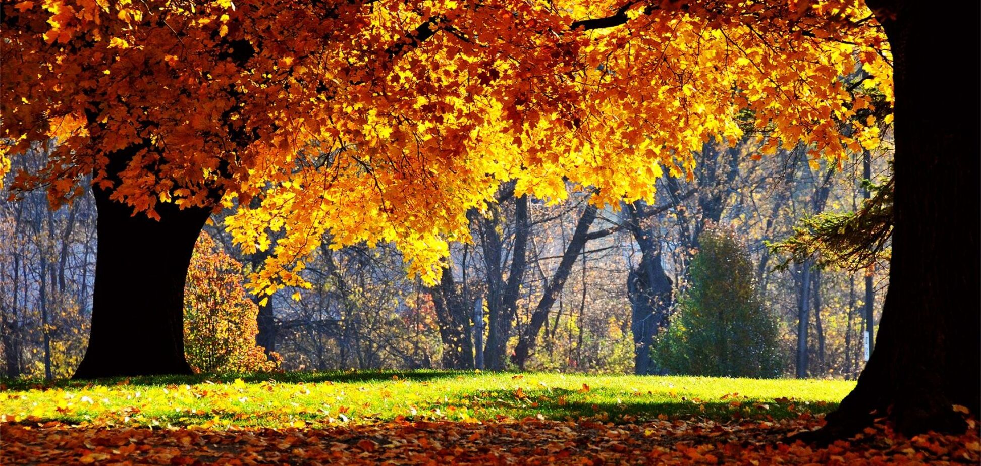 Є хороша новина: синоптикиня Гідрометцентру спрогнозувала сильне потепління в Україні