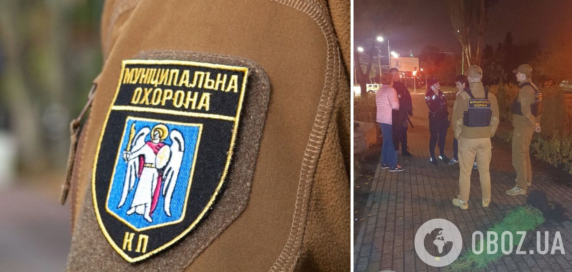 Задержали с поличным: в Киеве подросток во время комендантского часа пытался украсть тую в парке. Фото