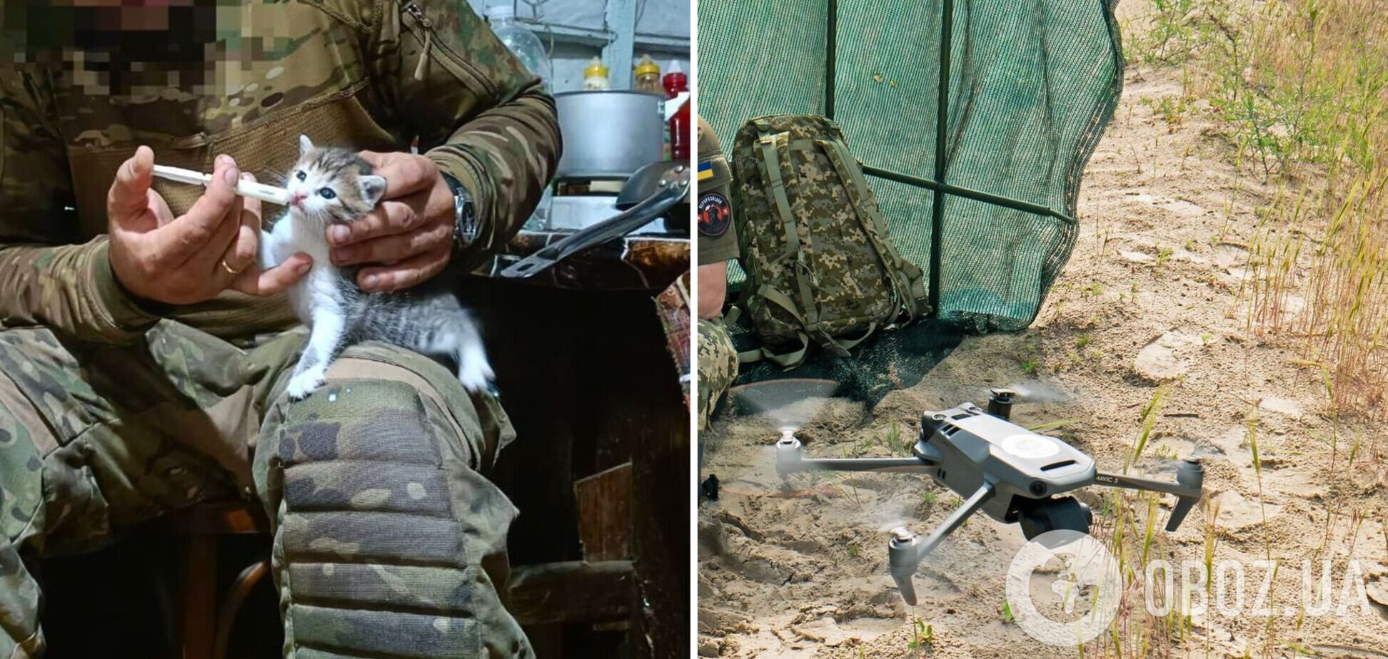 Виросла на позиціях: на фронті кішка ціною власного життя врятувала українських військових. Фото