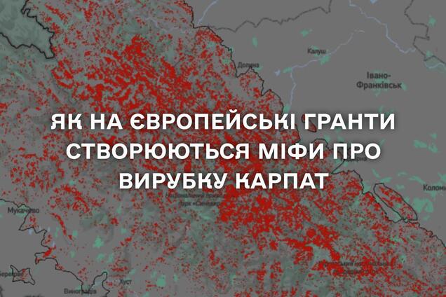 Держлісагентство спростувало дані NGL.media щодо втрати Карпатських лісів