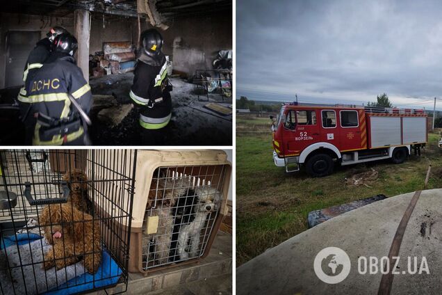 Під Києвом під час пожежі, рятуючи собак, постраждала жінка. Подробиці та фото