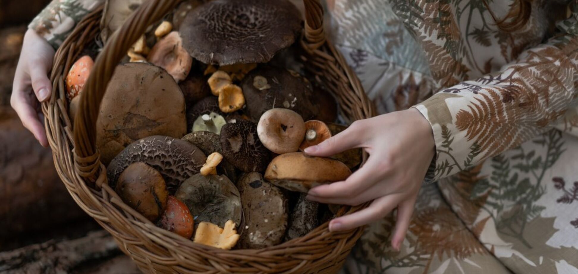 Какой штраф грозит за незаконный сбор грибов