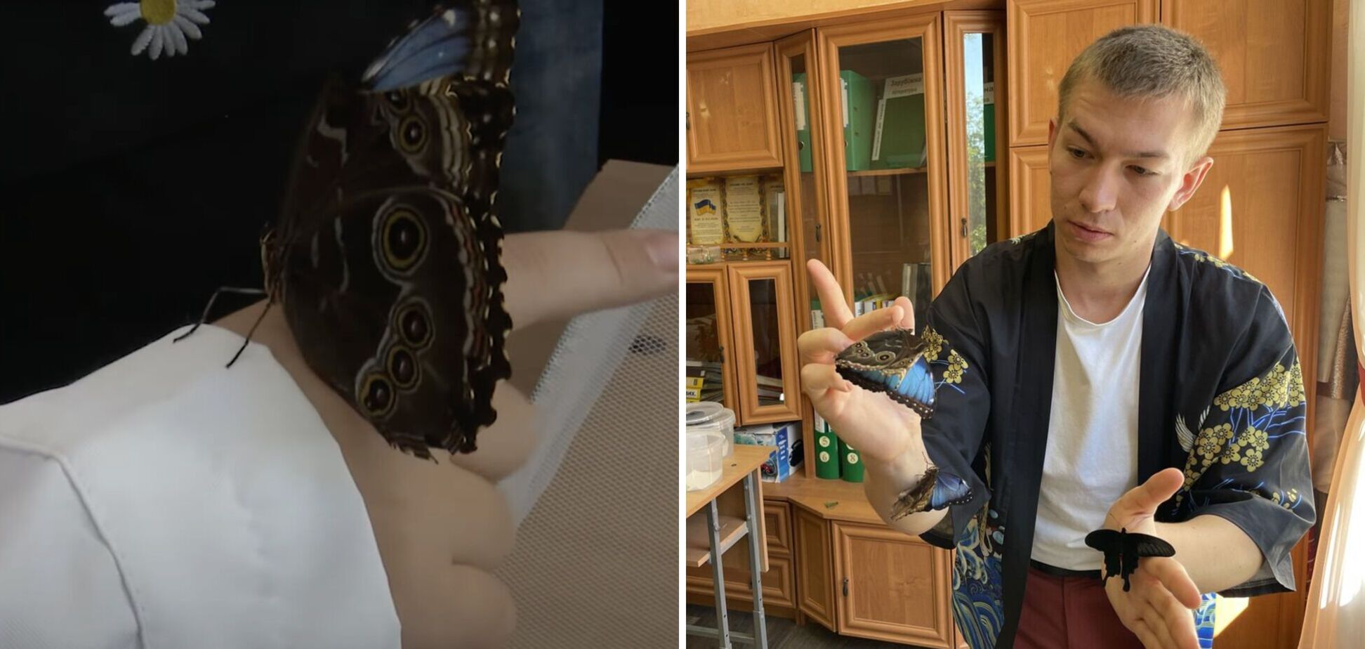 Вместо скучной теории – увлекательная практика: учитель биологии из Полтавы вырастил бабочек в искусственных условиях. Фото и видео