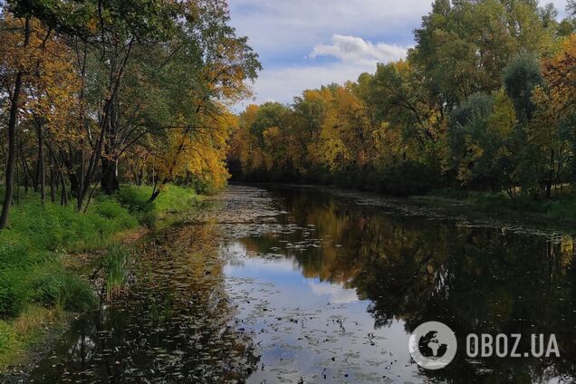 Без опадів та до +12°С: детальний прогноз погоди по Київщині на 17 жовтня