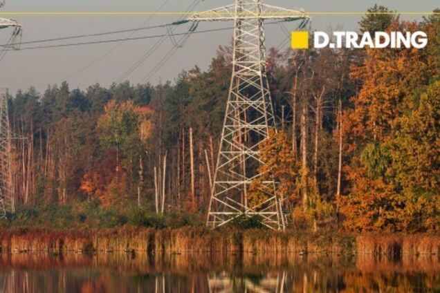 Трейдеры призвали ввести европейский уровень ценовых ограничений на рынке электроэнергии