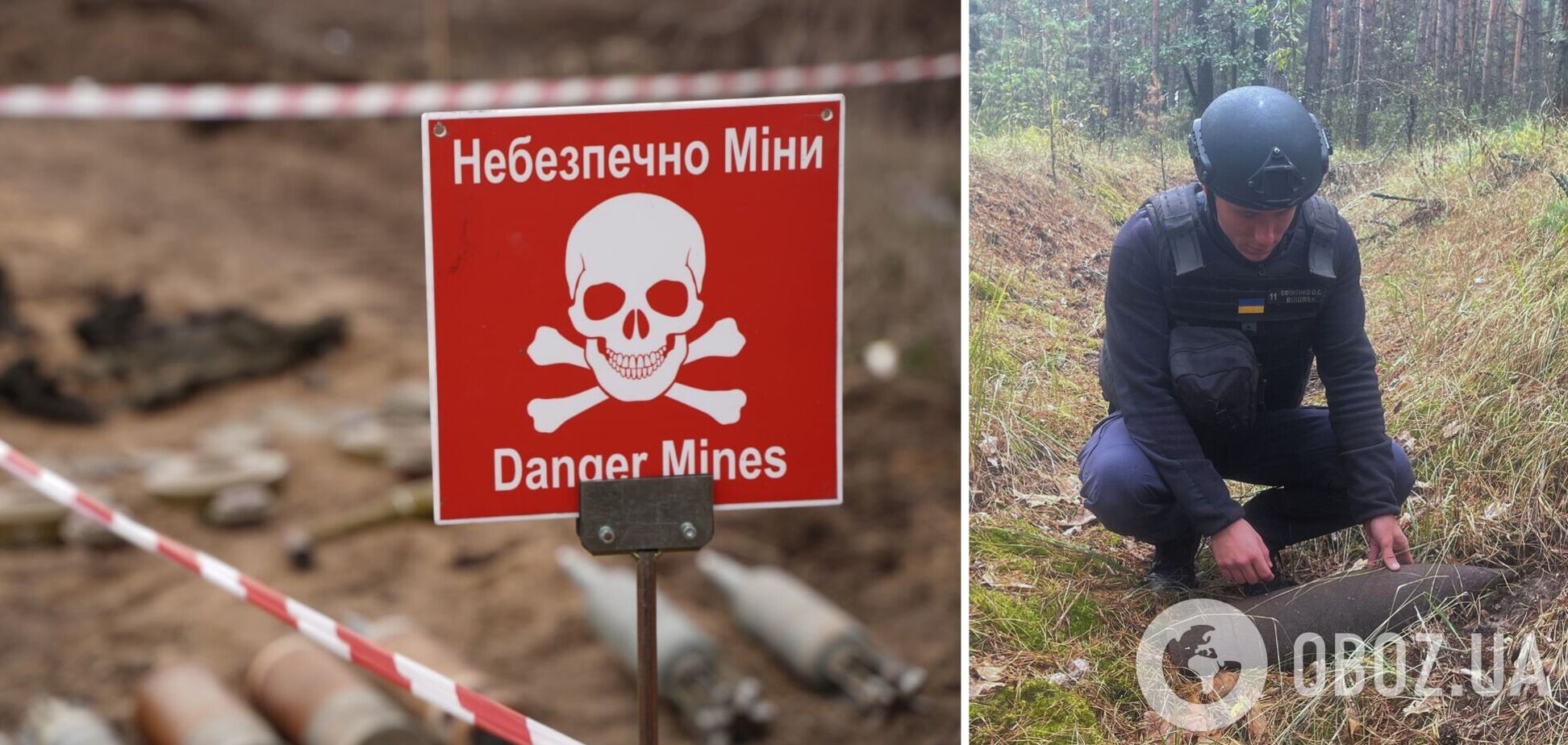 На Київщині лісник знайшов снаряд та міну. Подробиці і фото