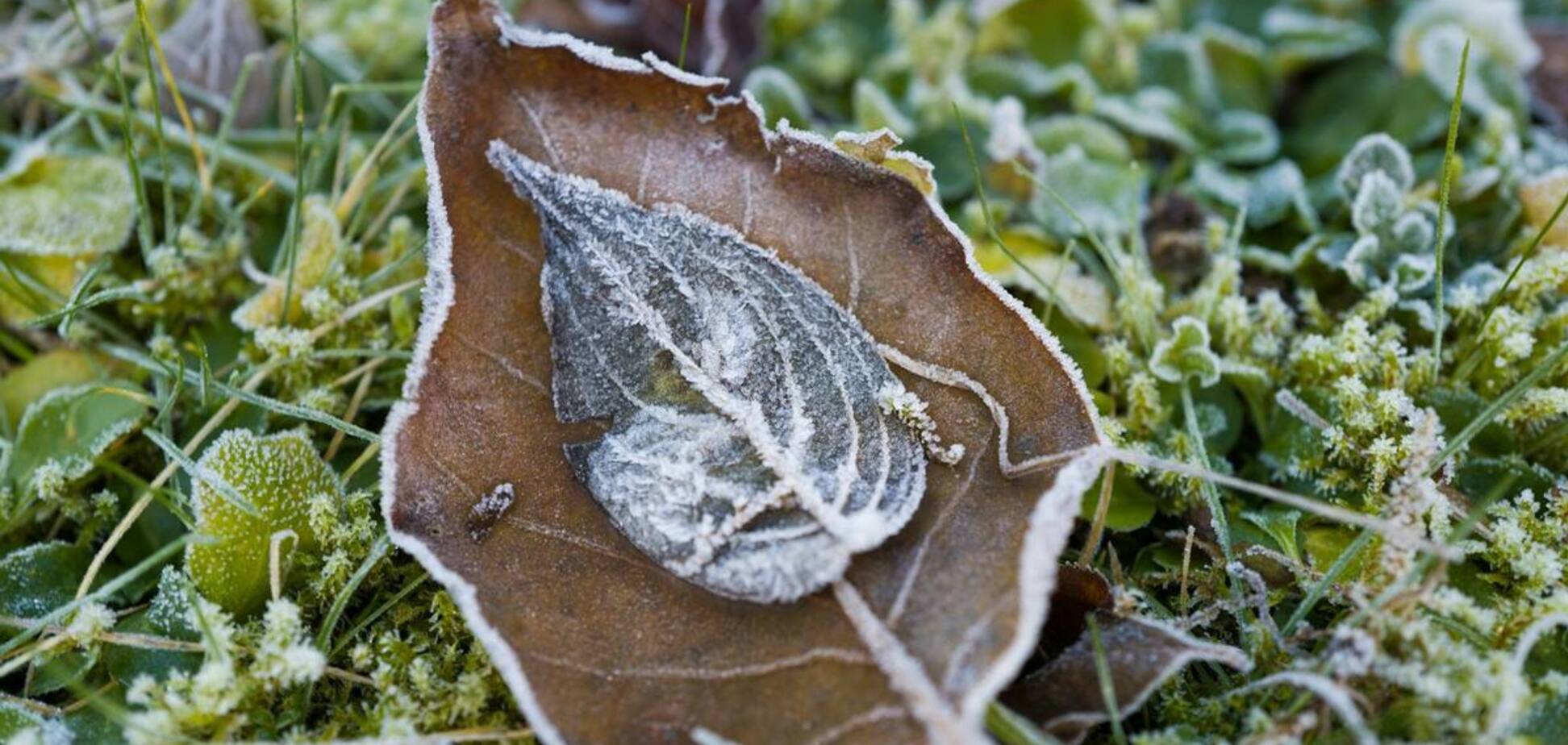 В Україні на вихідних вдарять заморозки: синоптики назвали регіони, де буде найхолодніше. Карта