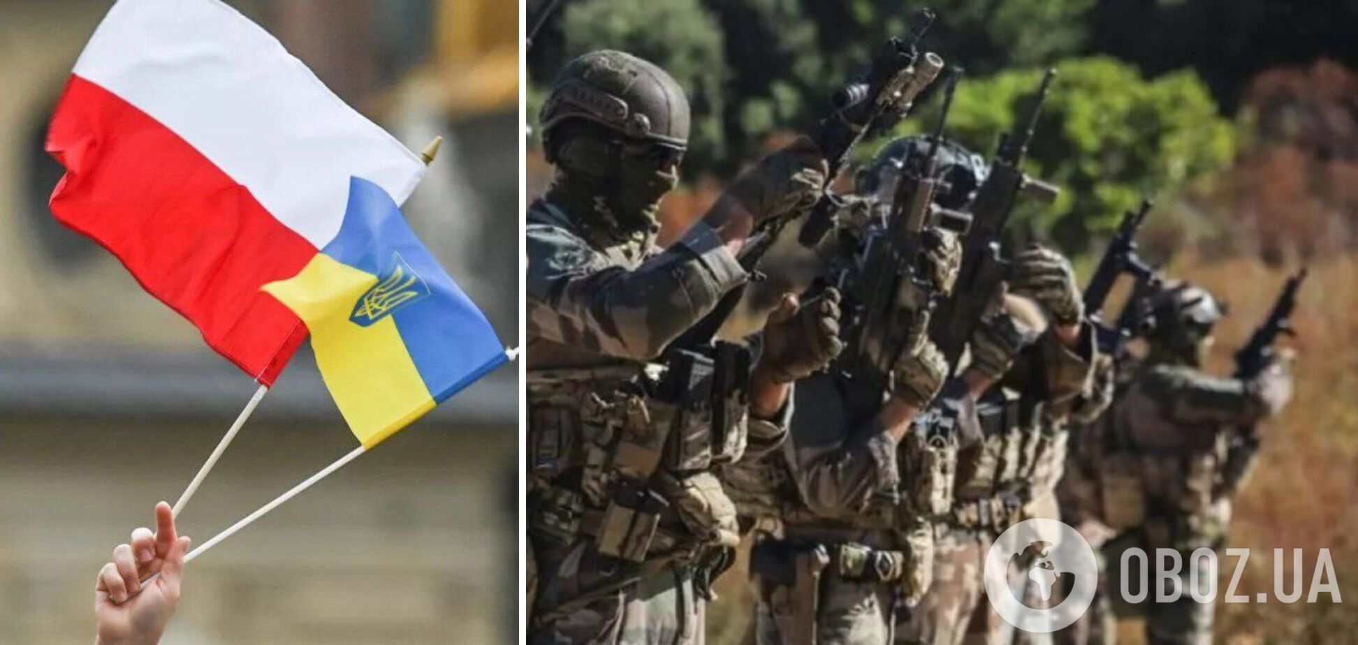 В Польше рассказали о проблемах с созданием Украинского легиона