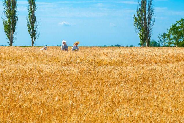 Якою буде демографія України