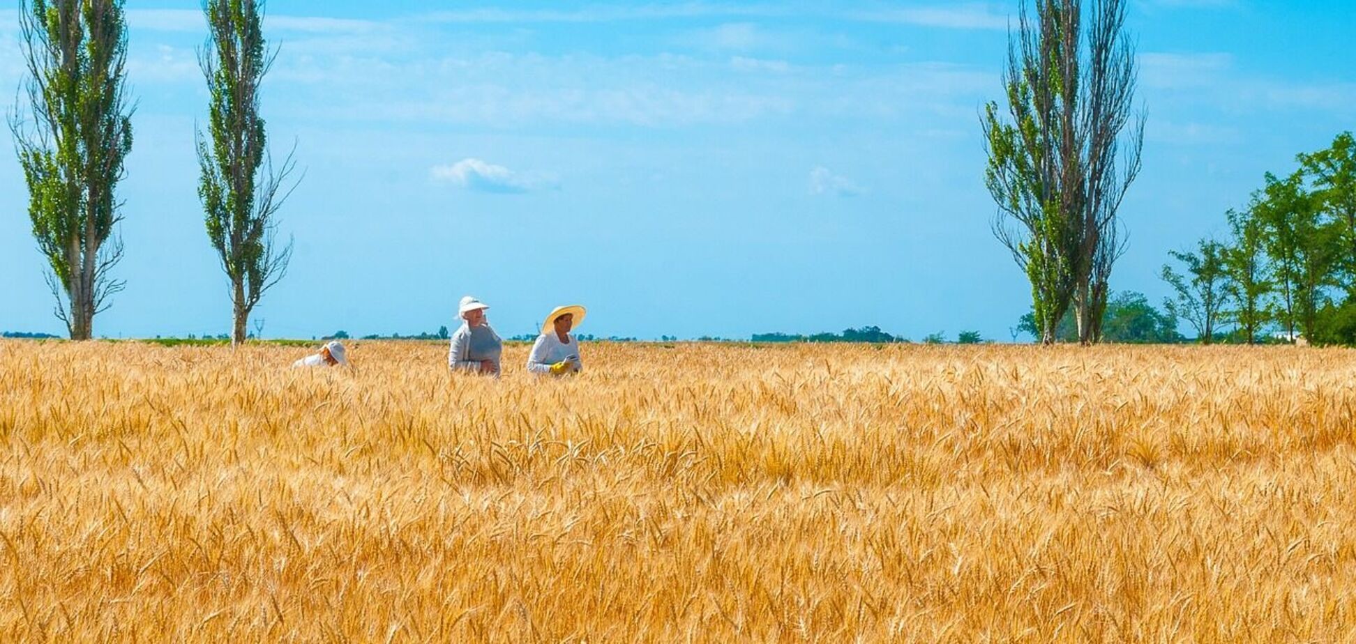Якою буде демографія України