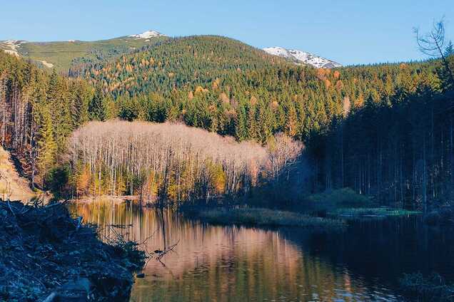 У Карпатах через вирубування лісу виникло штучне озеро. Фото і відео