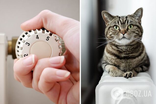 У КМДА розповіли, коли ухвалюватимуть рішення про опалення житлових будинків Києва