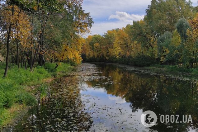 Без опадів та до +16°С: детальний прогноз погоди по Київщині на 23 жовтня