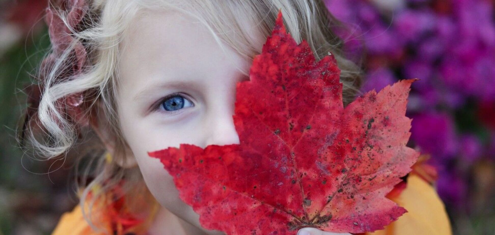 Ожидается повсюду плюсовая температура: синоптики уточнили прогноз погоды на среду, 23 октября