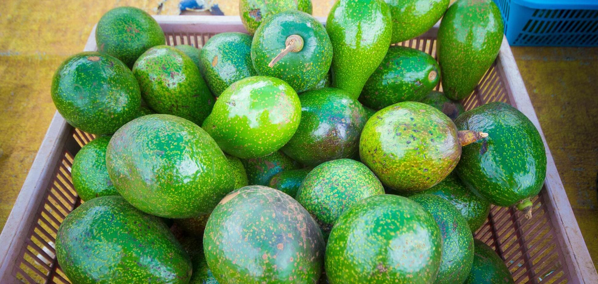 Як 'дозріти' авокадо за 2 хвилини: хитрий прийом, який подіє навіть на дуже тверді плоди