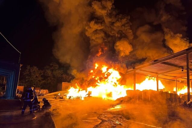 У Запоріжжі загорівся притулок для собак: підозрюють підпал. Відео