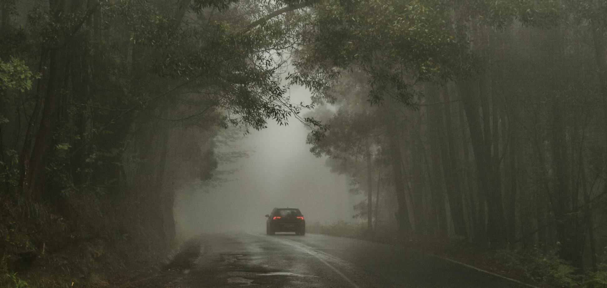 Майже всю Україну затягне туманом: синоптики уточнили прогноз погоди на неділю, 27 жовтня