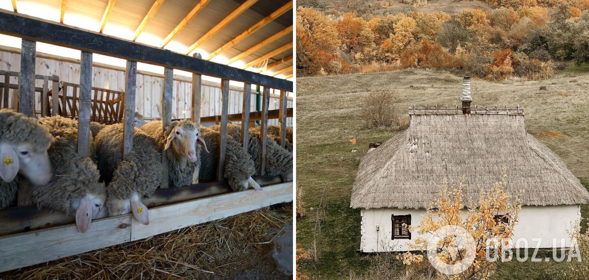 Хутора Украины: аутентичные исторические места нашей страны