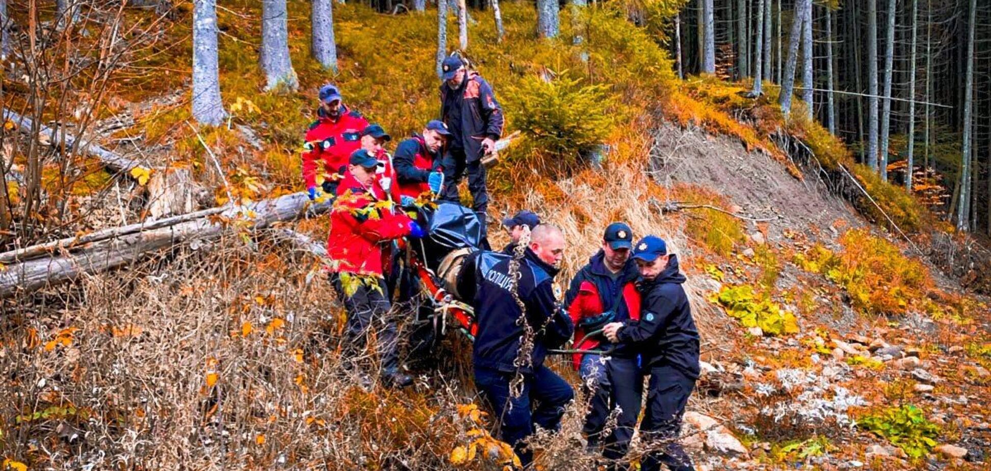 'Грибы ценой жизни': на Прикарпатье два человека заблудились в лесу, мужчину нашли мертвым. Фото