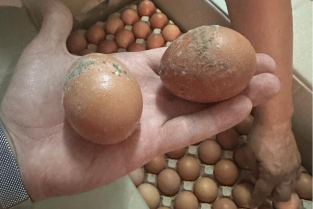 ДОТ провалив боротьбу з корупцією і забезпечення українських воїнів якісною їжою, – Постернак