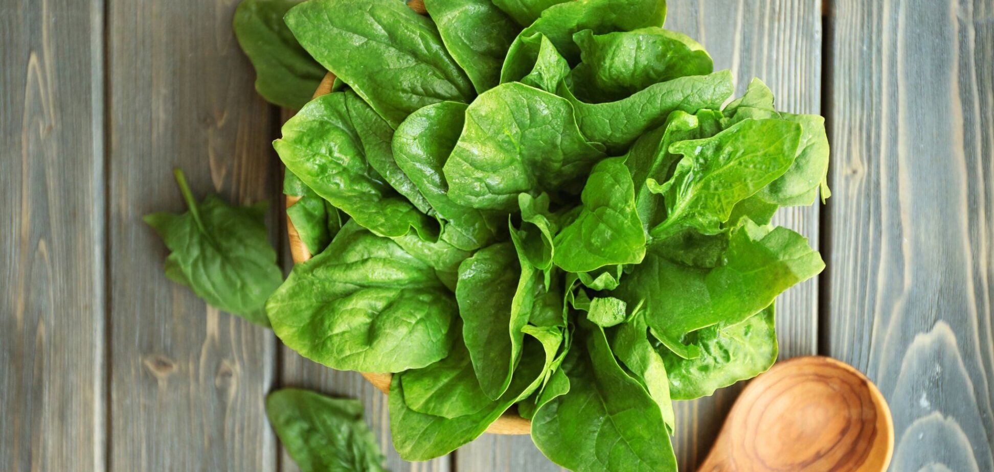 Будет ранний урожай: как правильно посеять щавель осенью