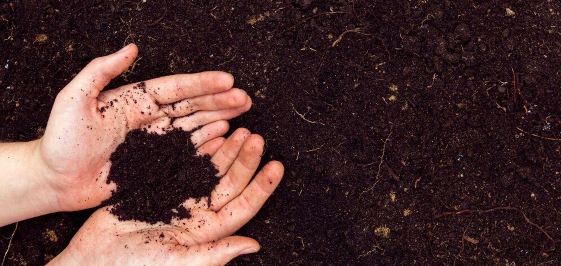 Пострадавшим от войны украинцам "пообещали" бесплатную землю: что не так с этой информацией