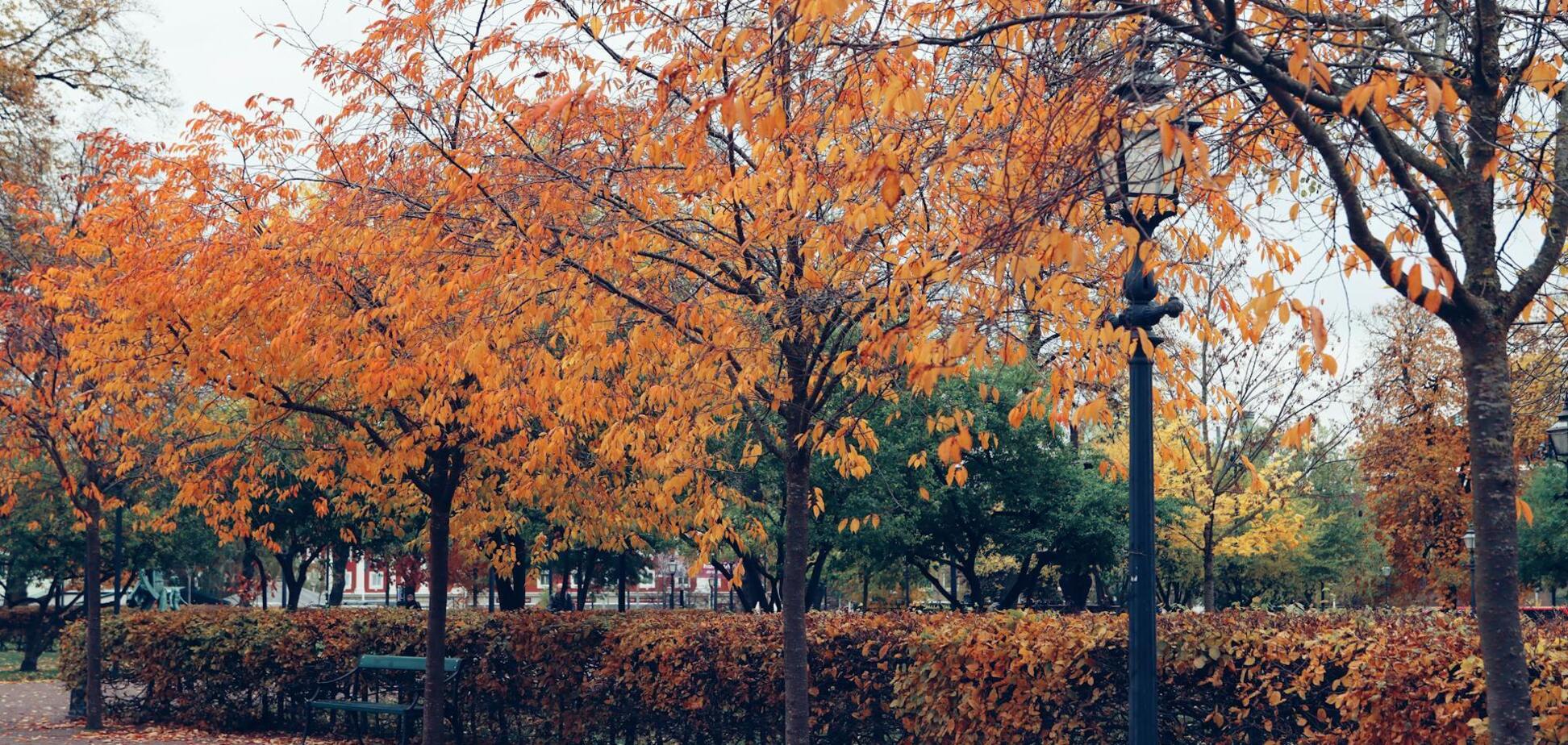'Ще побуде досить тепло': синоптикиня уточнила прогноз на четвер і назвала дату похолодання в Україні. Карта