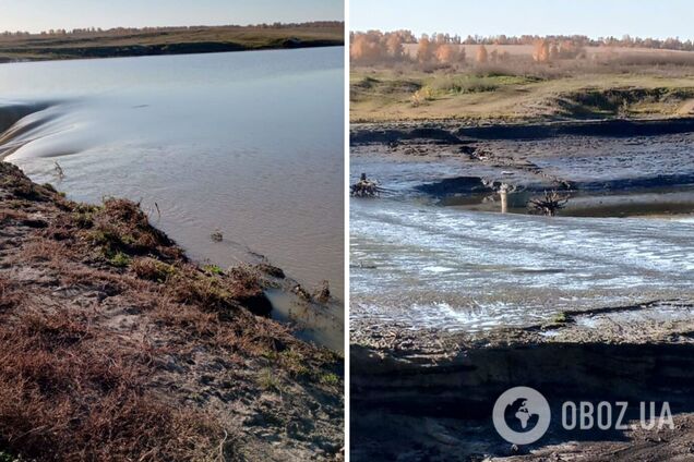 В Росії водою знесло дорогу та міст в Алтайському краї: фото та відео 
